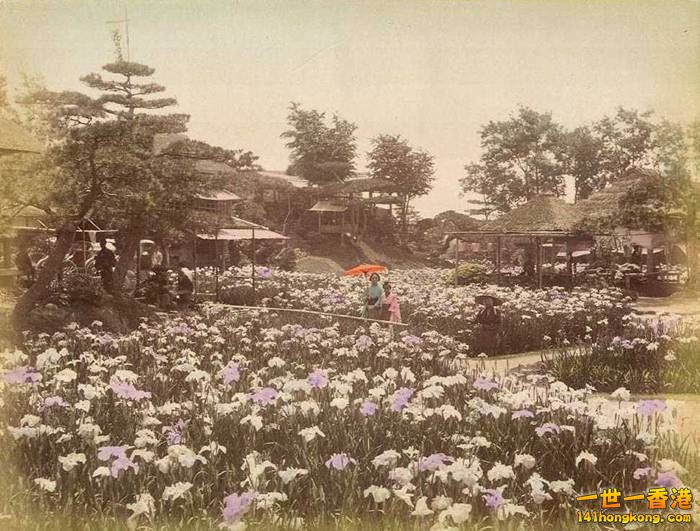 Old Pictures of Tokyo  東京    -   13.jpg