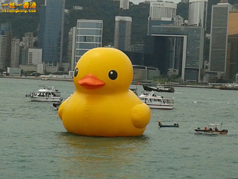大鴨.jpg