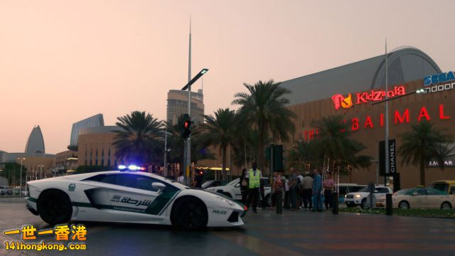 Dubai Police Dept   -   1.jpg