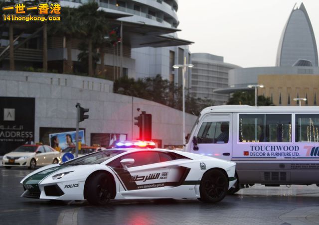 Dubai Police Dept   -   2.jpg