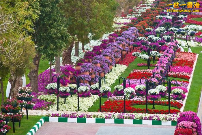 Al Ain Paradise Garden, UAE    -  10.jpg