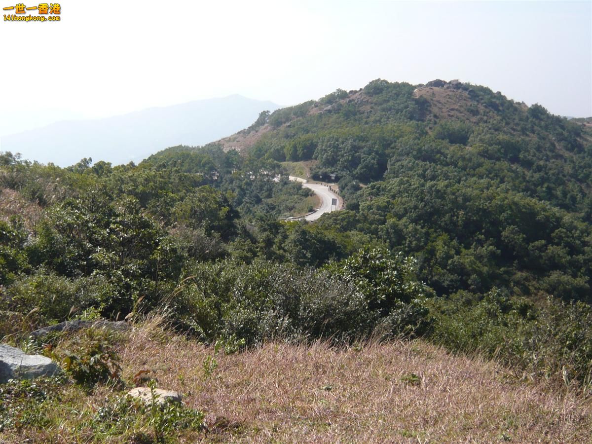 大帽山 (16).jpg