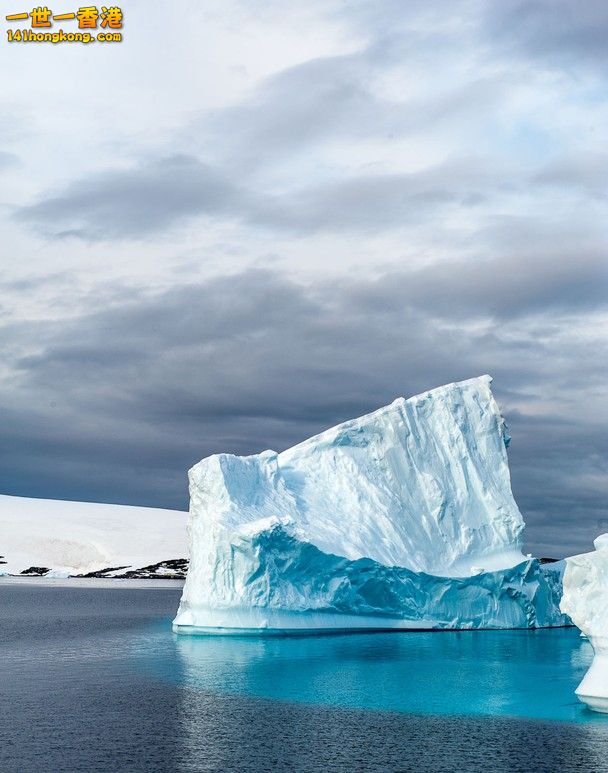 iceberg beauty.jpg