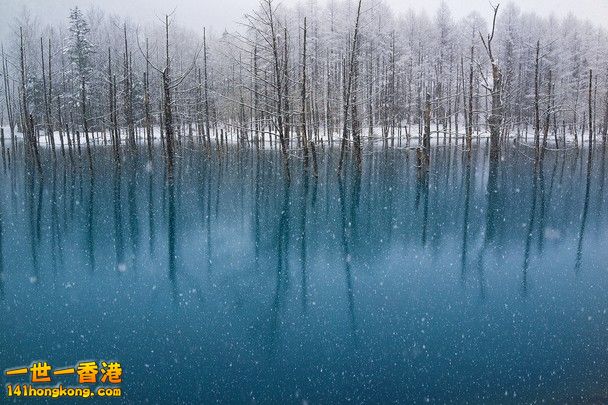 Blue Pond-The Snowfall in May.jpg