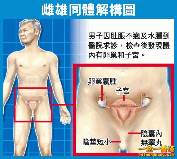 男人 女人.jpg