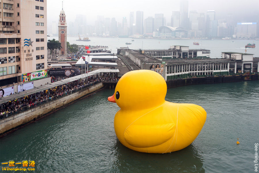 rubber-duck-hong-kong-harbour-flickr-seeminglee.jpg