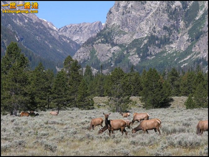 Grand Teton National Park       2.jpg