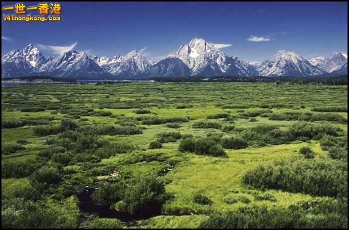 Grand Teton National Park       3.jpg