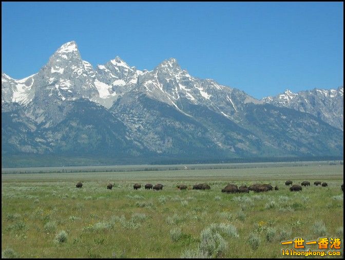 Grand Teton National Park       14.jpg