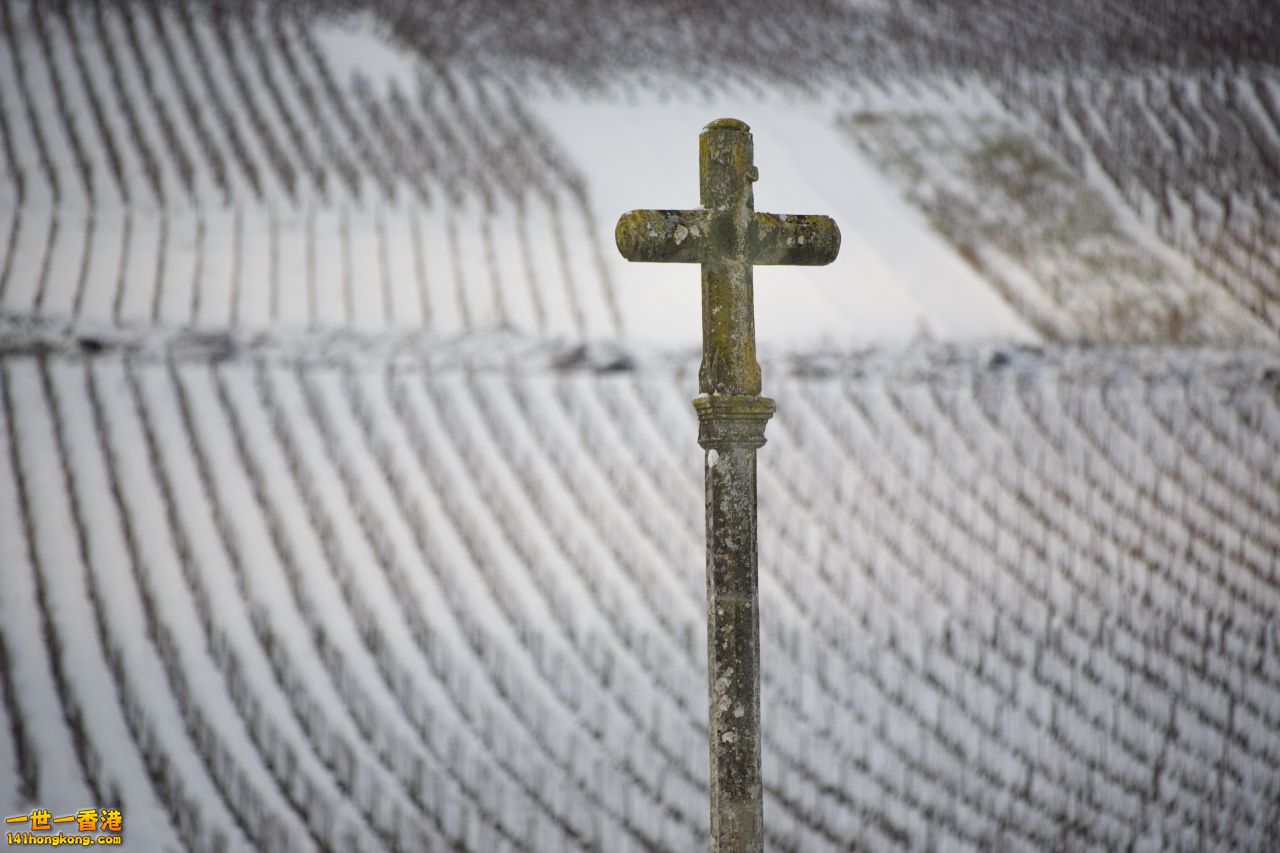 Romanee conti