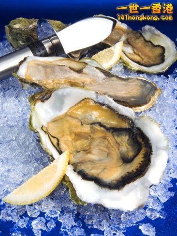 oysters-on-ice-ostrea-edulis-france-europe.jpg