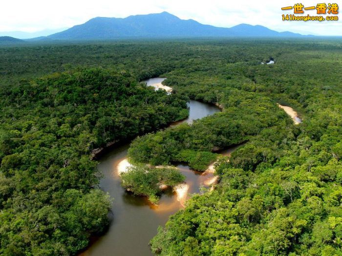 Amazon Rain Forest      18.jpg