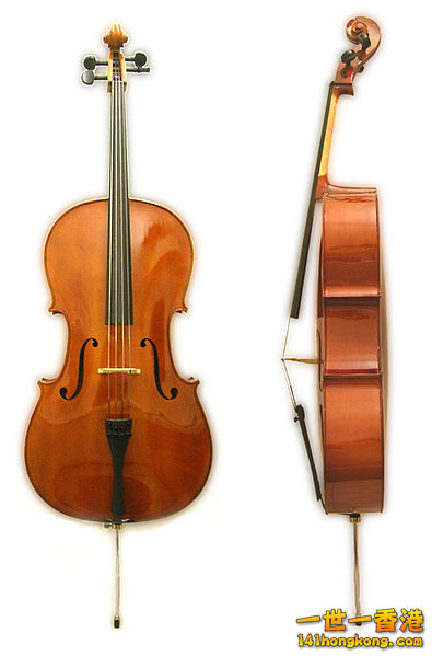 395px-Cello_front_side.jpg