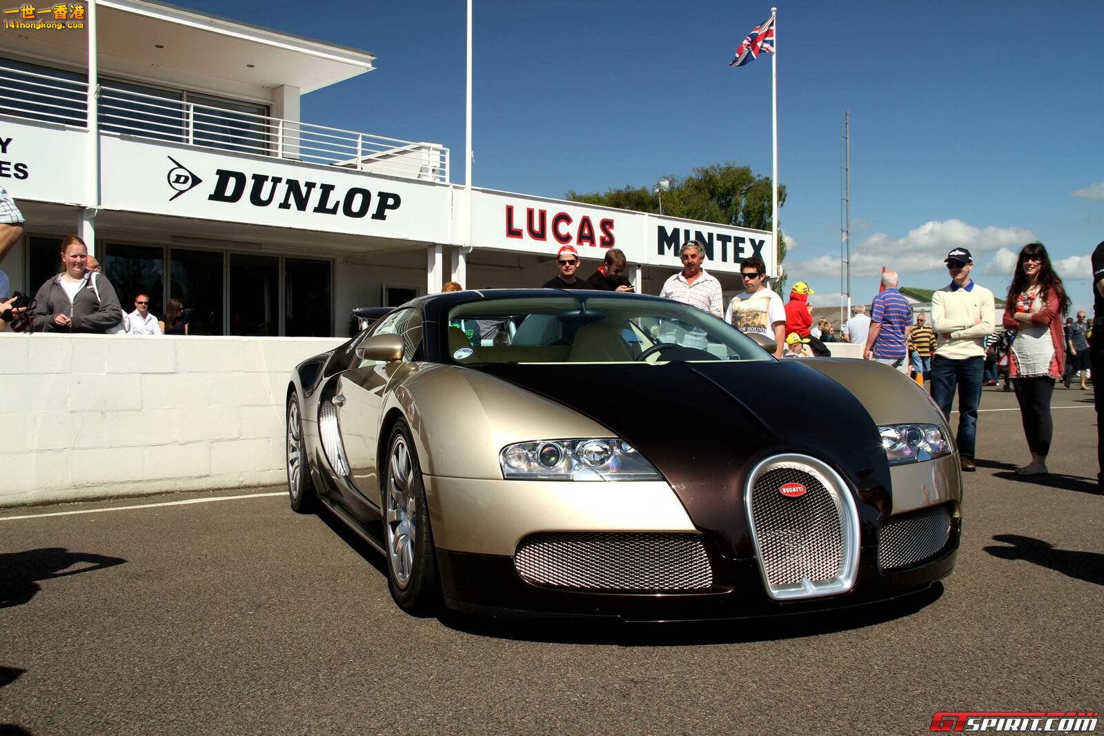 bugatti-veyron-gold_tn.jpg