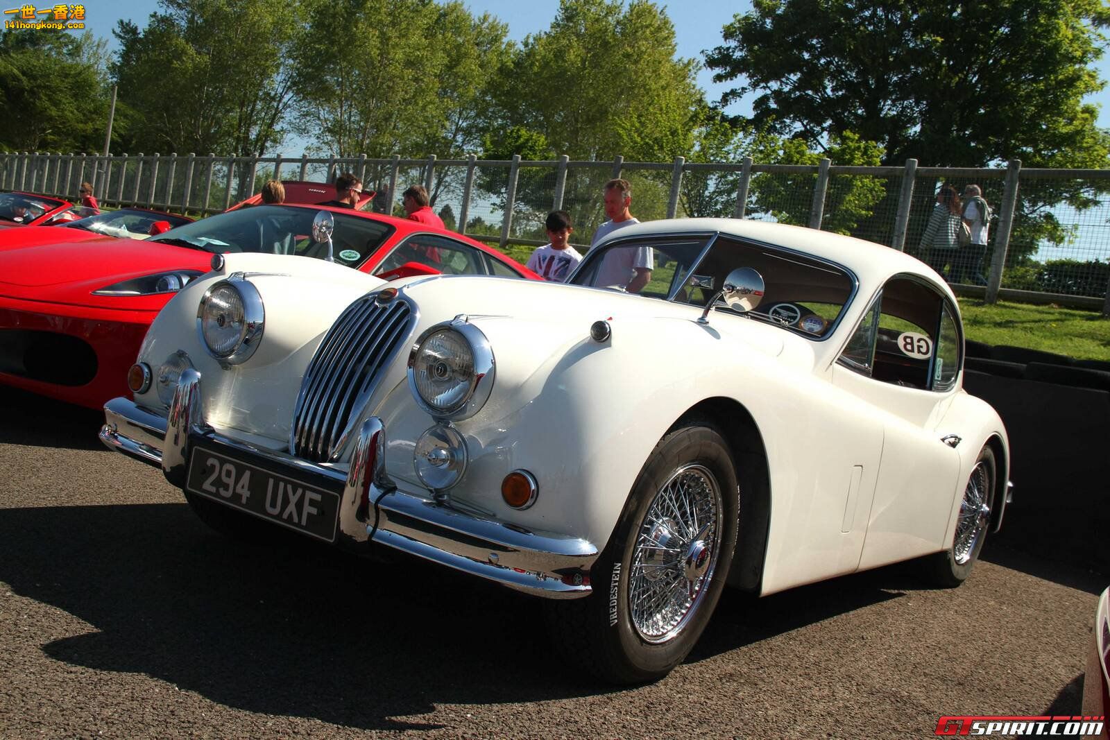 jaguar-xk120_tn.jpg