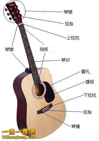 Acoustic_guitar_specs.jpg