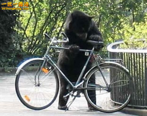 funny_cycling_picture_20.jpg