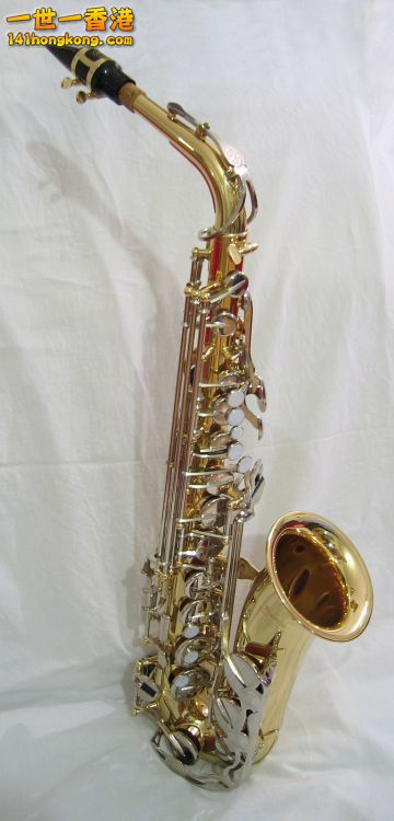 Saxophone_alto.jpg