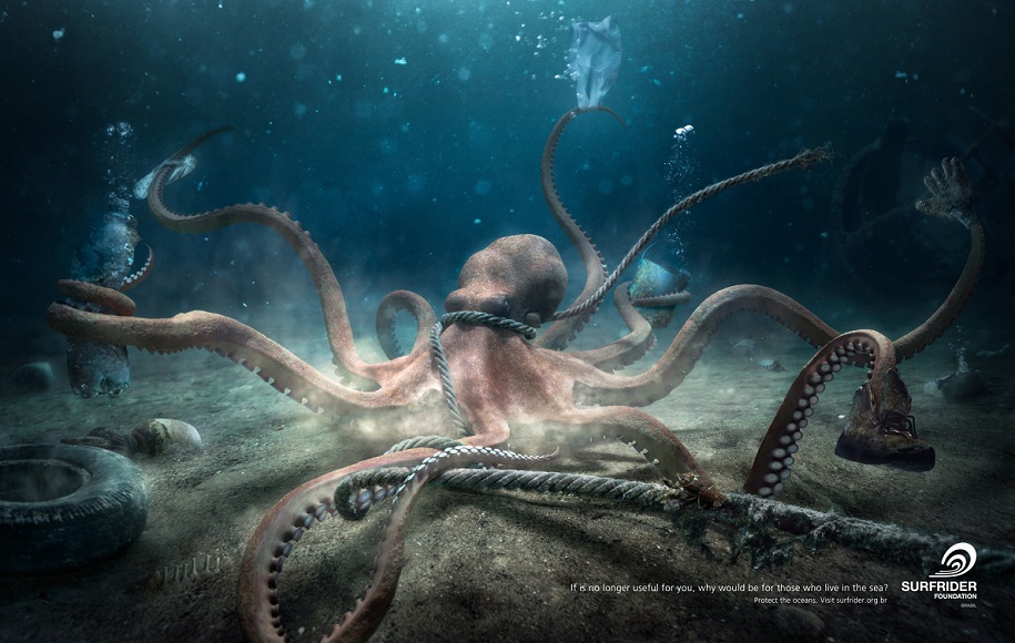 Surfrider-Foundation-Brasil-Octopus.jpg