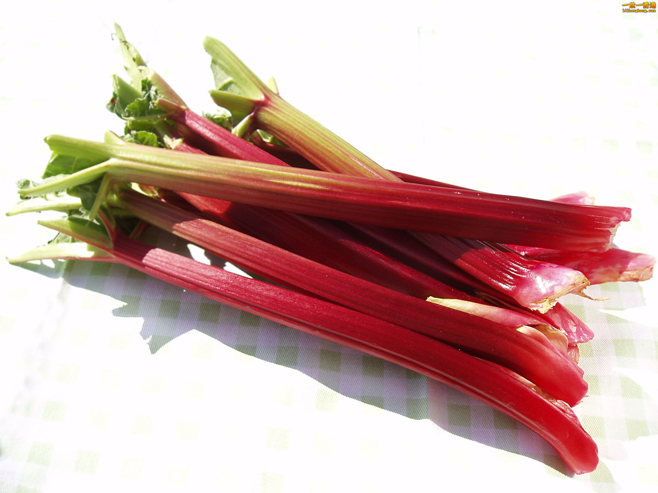 rhubarb.jpg