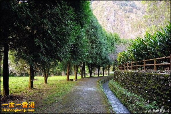 武界大壩登頂步道一景