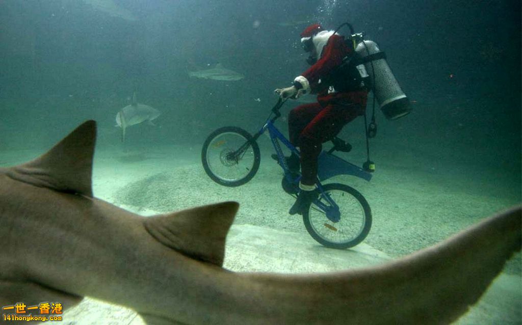 shark-BMX-underwater-santa-wtf-1331637327v.jpg