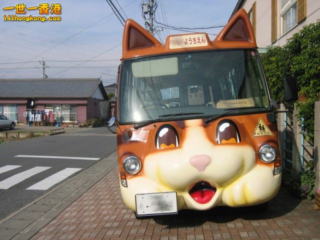 501   Kitty cat bus.jpg