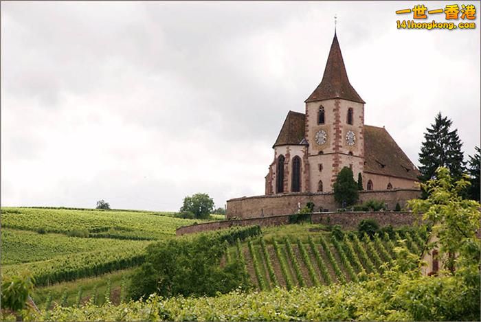 Hunawihr Vineyards – Alsace, France  法國.jpg