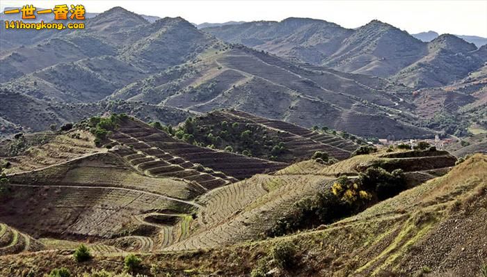 4)   Porrera Vineyards – Priorat County, Catalonia, Spain  西班牙.jpg