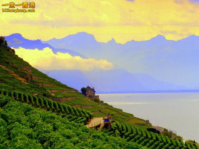 5)   Lavaux Vineyards – Switzerland   瑞士.jpg