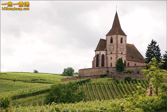 11)   Hunawihr Vineyards – Alsace, France  法國.jpg