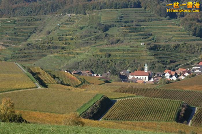 13)   Baden Wurttemberg Vineyards – Germany   德國.jpg