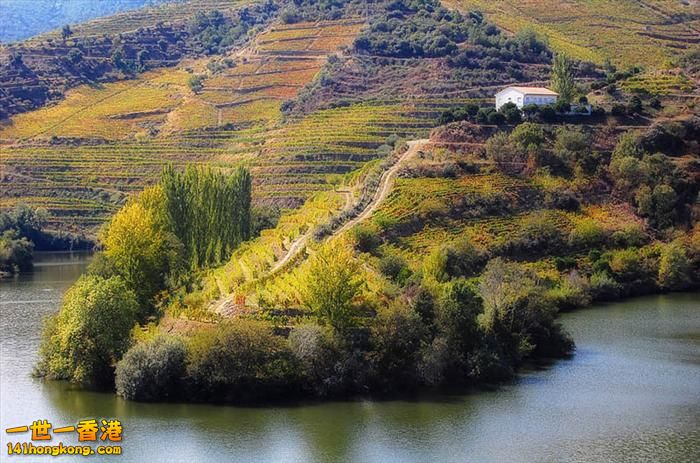 14)   Tedo River Vineyards – Douro Valley, Portugal   葡萄牙.jpg