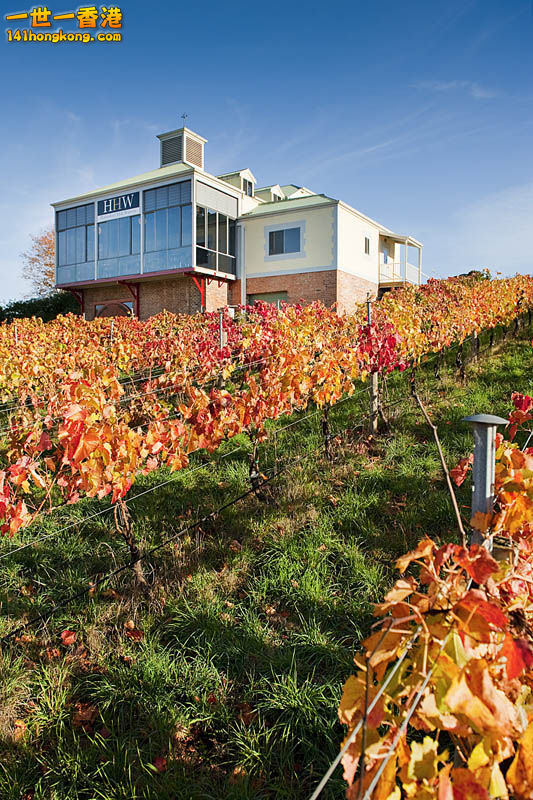 17)   Hahndorf Vineyards – Adelaide Hills, South Australia   澳洲.jpg