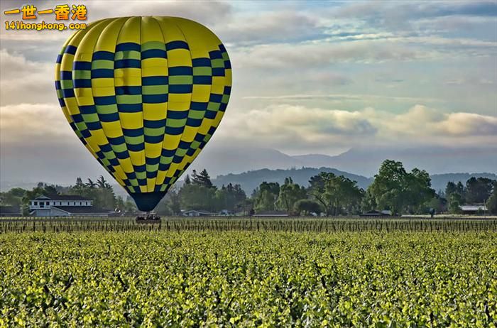 22)  Napa Valley Vineyards – California, United States.jpg