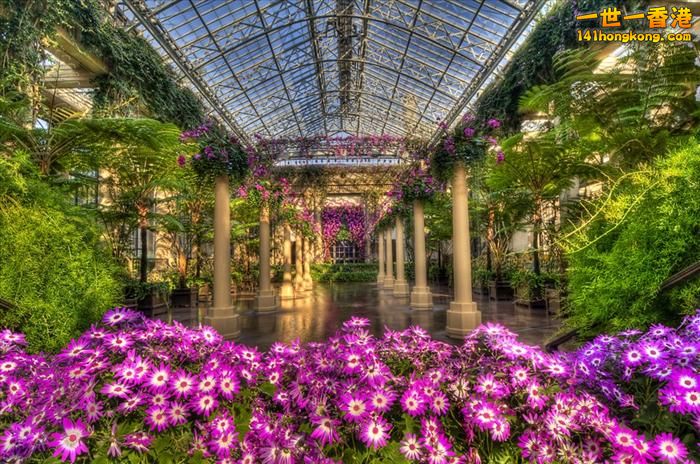 Longwood Gardens,  USA   -  11.jpg