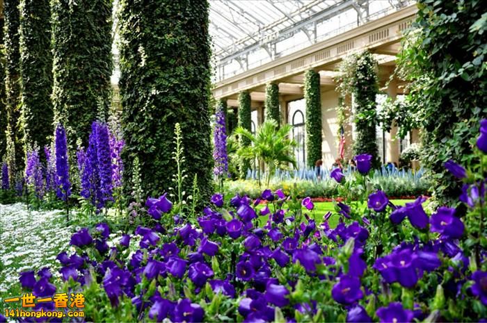 Longwood Gardens,  USA   -  31.jpg