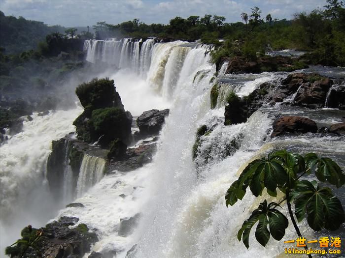 伊瓜蘇瀑布 （ Iguazu Falls ） -   11.jpg