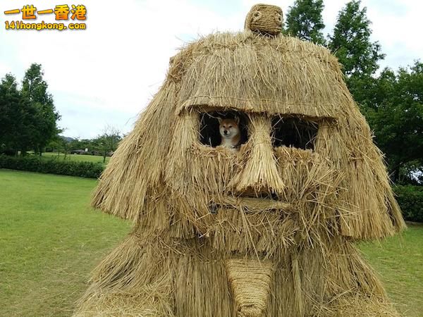 straw_art_festival_2013_4.jpg