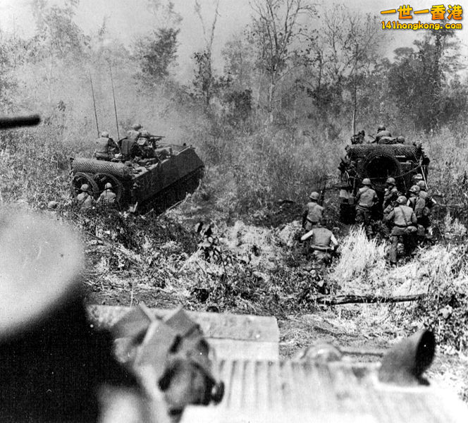 A combined arms operation in Vietnam. M113s clear the way through heavy bush whi.jpg