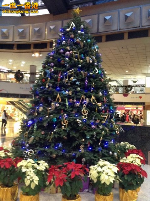 x\'mas tree.jpg