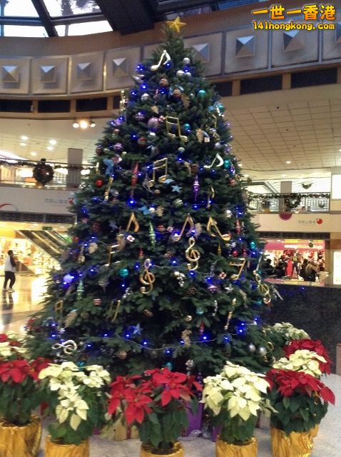 x'mas tree.jpg