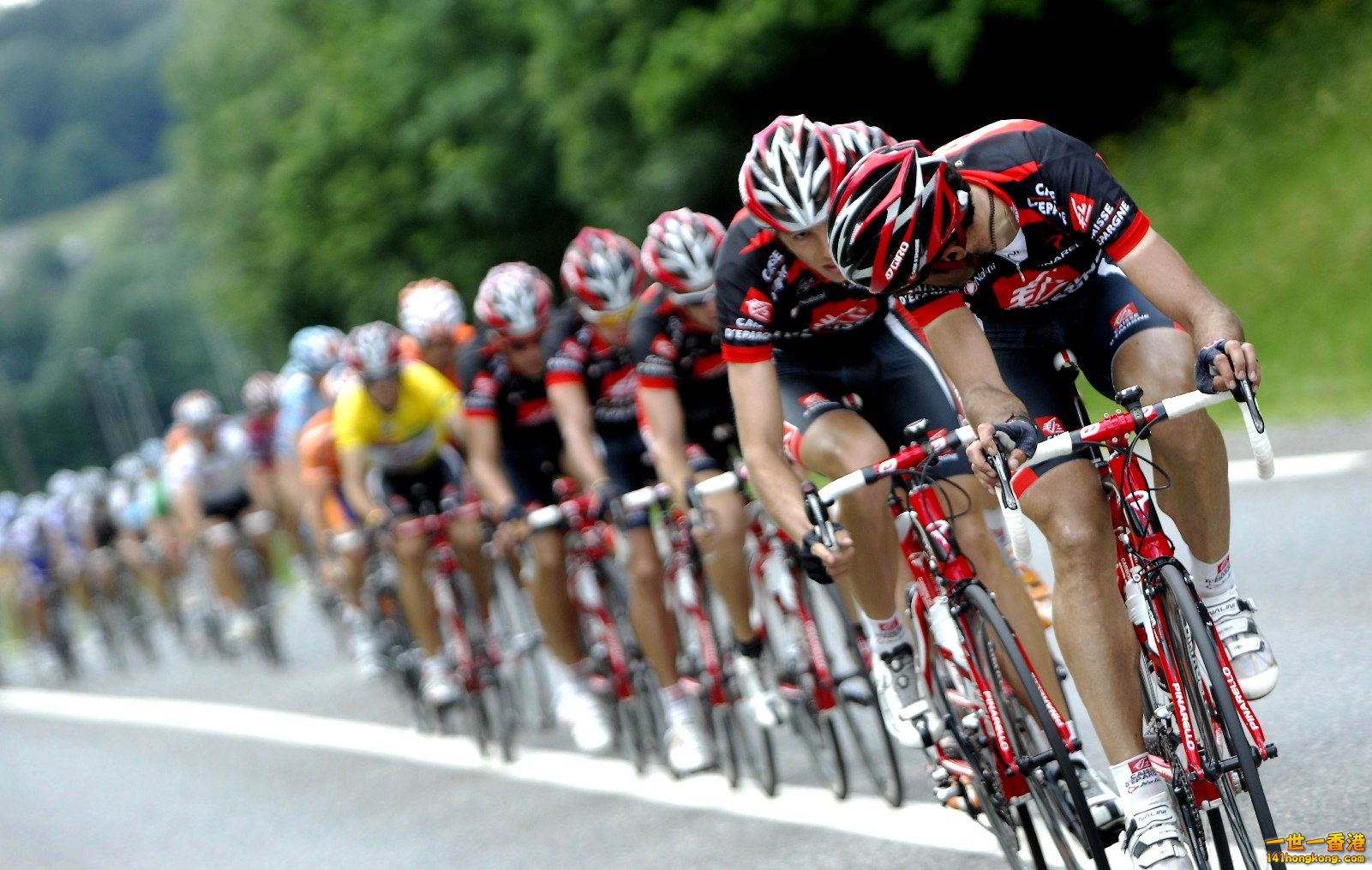 peleton-Bicycle-Race.jpg