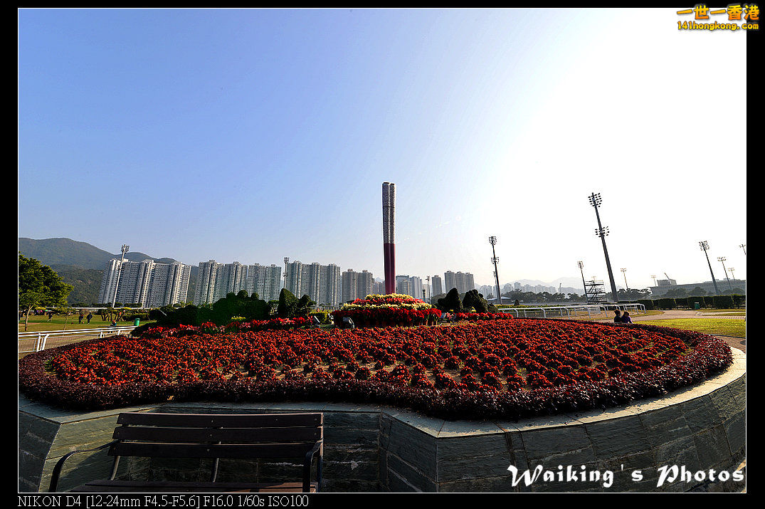 DSC_0520.jpg
