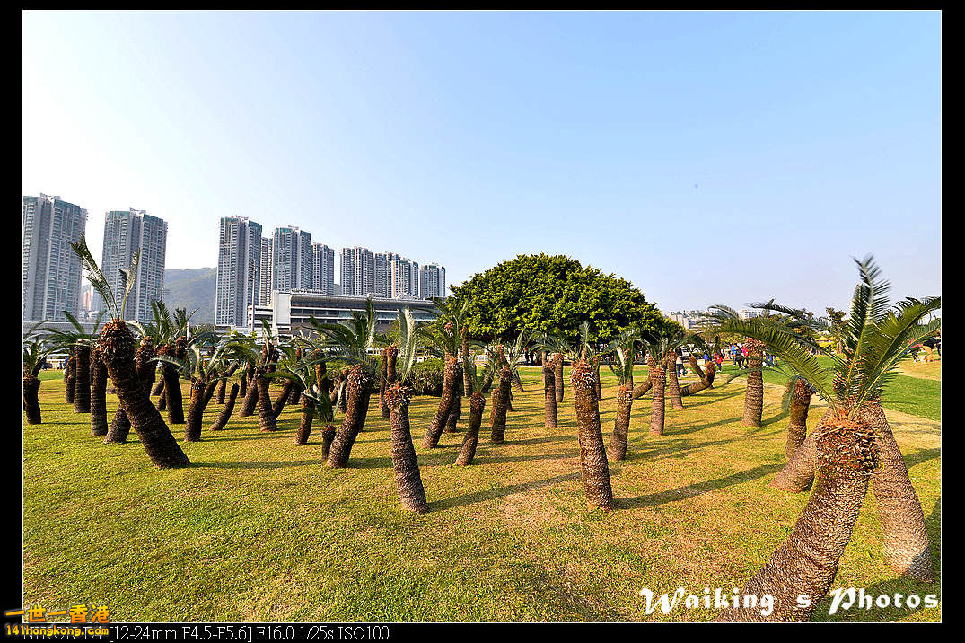 DSC_0523.jpg