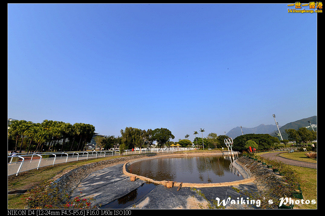 DSC_0525.jpg