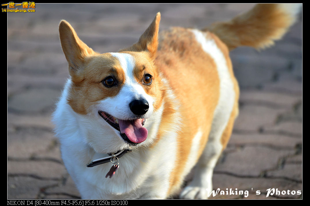 DSC_0552.jpg