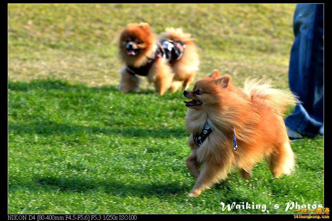 DSC_0555.jpg