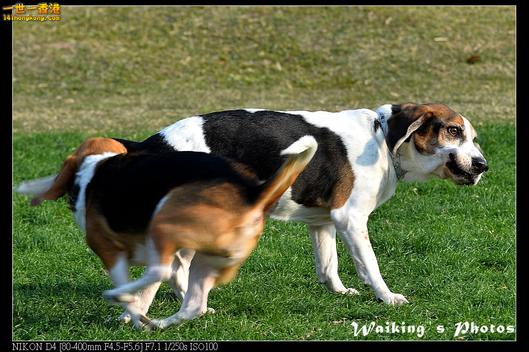 DSC_0564.jpg