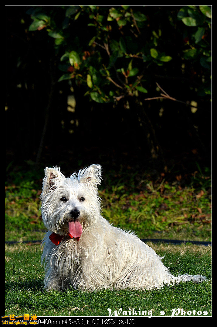 DSC_0567.jpg